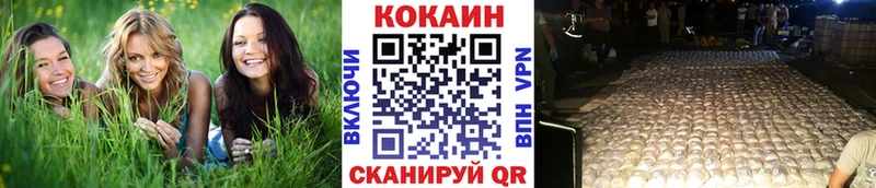 КОКАИН FishScale  гидра маркетплейс  Алейск  продажа наркотиков 