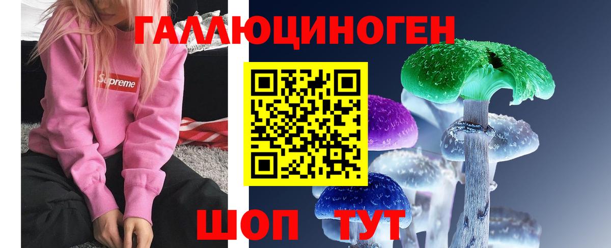 Псилоцибиновые грибы ЛСД Алейск